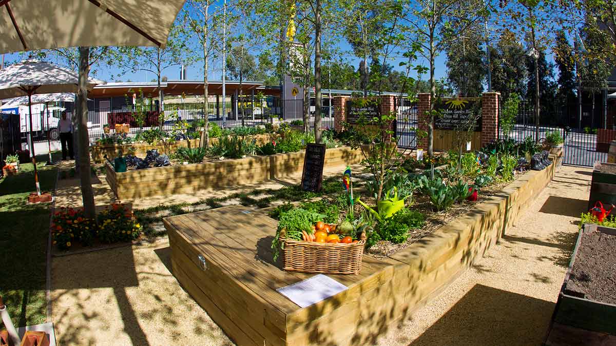 Community Kitchen Garden