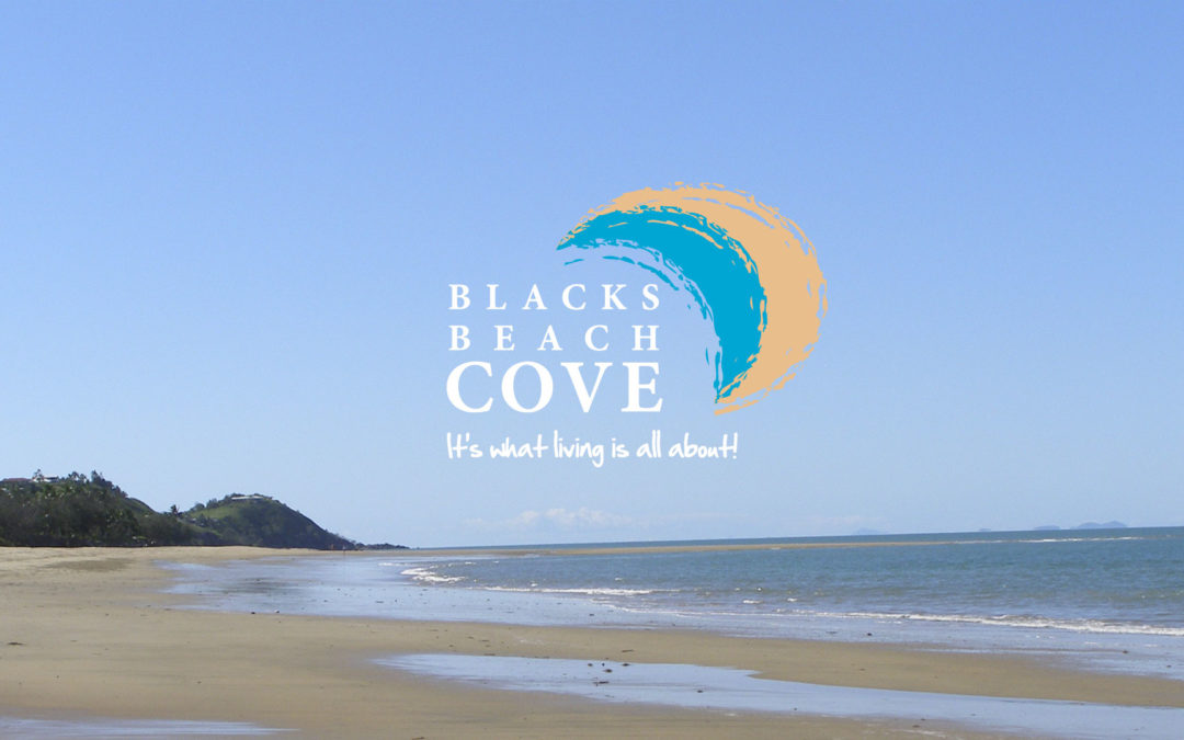 Blacks Beach Cove Website